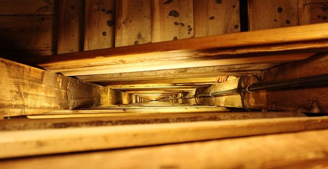 Olio Paglierino Come Usarlo Coloriverniciit