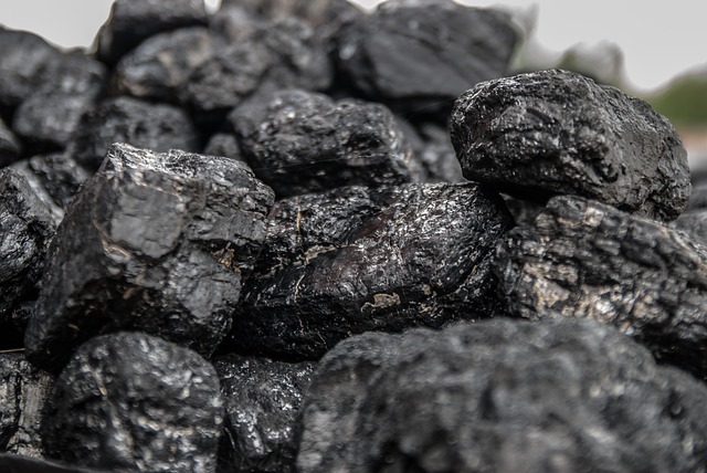 carbone come deumidificatore naturale