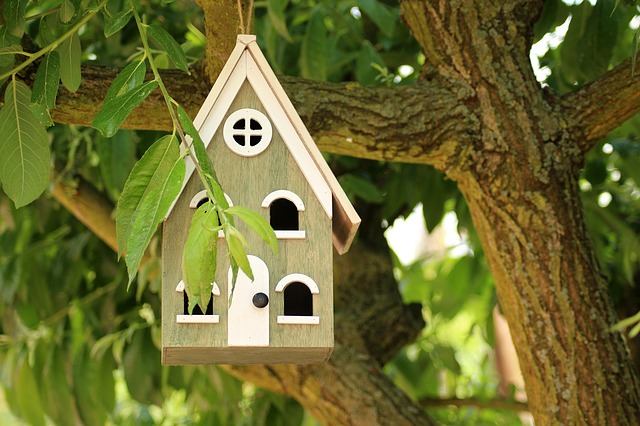 casetta in legno per uccelli